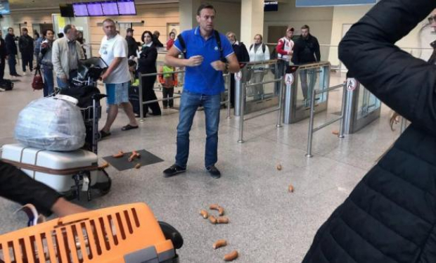 Alexei Navalnîi a fost atacat cu cârnați pe aeroportul Domodedovo din Moscova