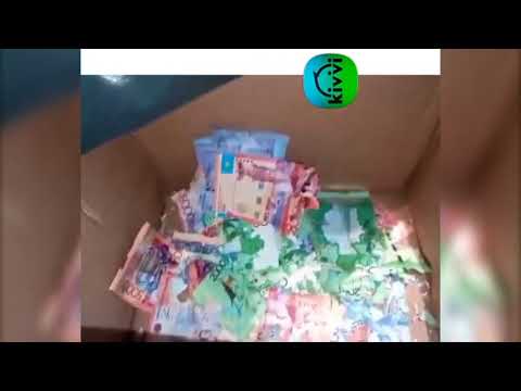 Мыши сгрызли деньги в банкомате в Казахстане: видео