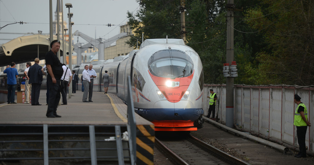 Движение поездов между Москвой и Петербургом нарушено из-за упавшего дерева