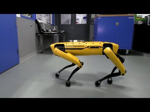 Роботы Boston Dynamics научились помогать друг другу