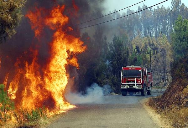 Un român acuzat că a provocat intenționat incendii de vegetație a fost arestat în sudul Italiei