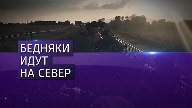 На США из Гондураса надвигаются нелегальные беженцы