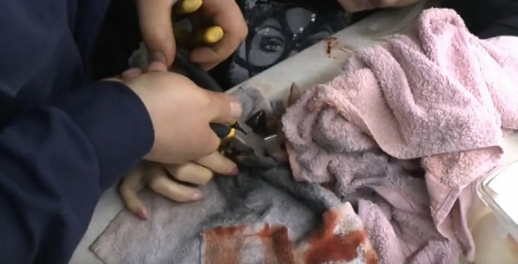VIDEO //O tânără și-a prins degetul într-o mașină de tocat carnea la Ciocana
